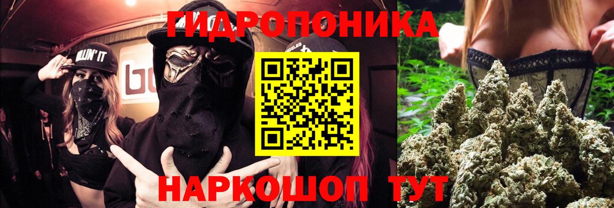 Асбест  Шишки марихуана планчик  Канабис сатива  Каннабис OG Kush  Вход с VPN 